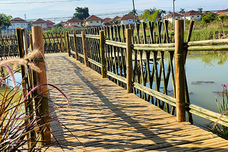 สะพานไม้ไผ่กลางบ่อน้ำ-คลองสอง