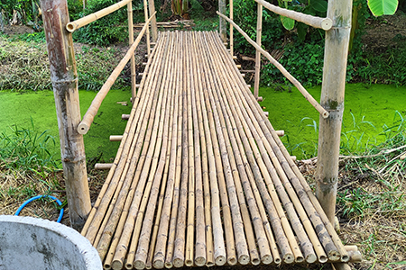 สะพานไม้ไผ่ข้ามร่องสวน-นวมินทร์