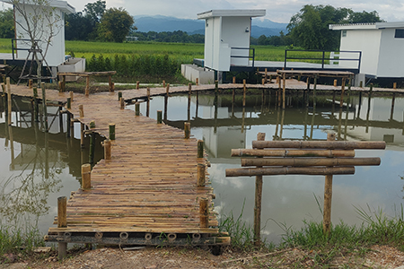 สะพานไม้ไผ่กลางนา-นครนายก