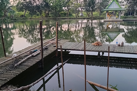 สะพานไม้ไผ่ริมน้ำ นครปฐม